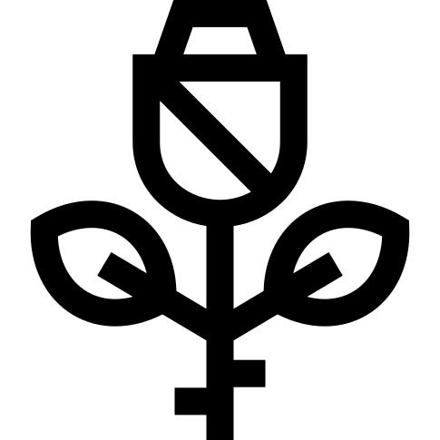 玫瑰