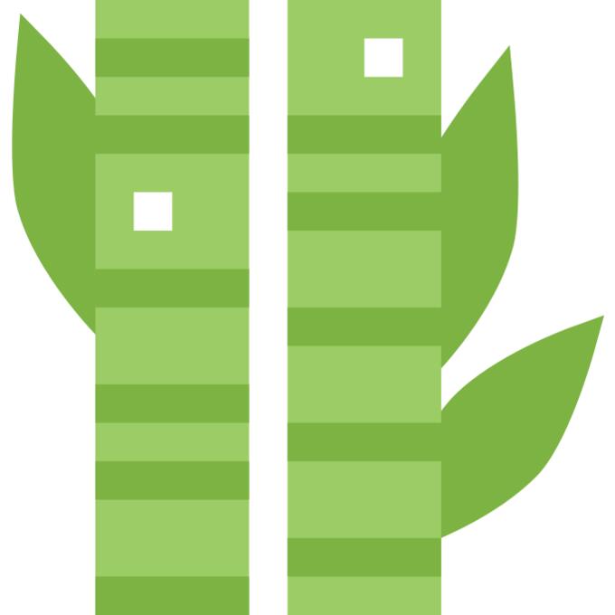 Bamboo