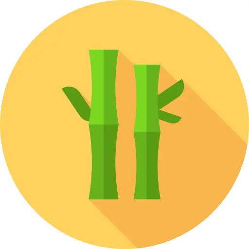 Bamboo