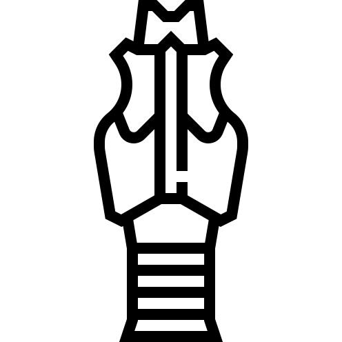 Trachea
