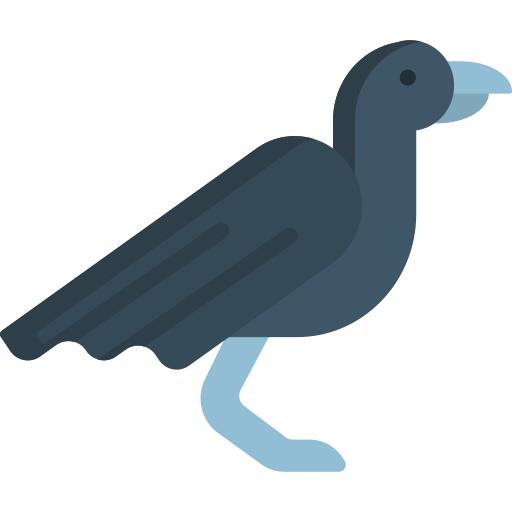 Crow