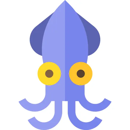 Squid