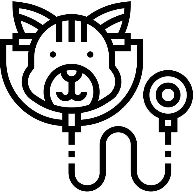 检查