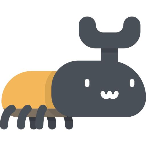 甲虫