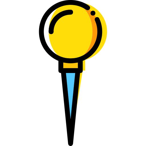 Pin
