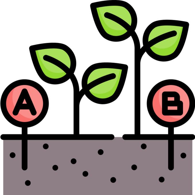 Growth