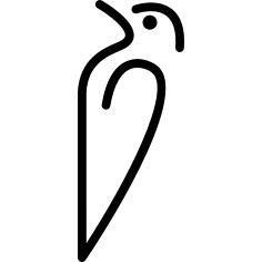鸟轮廓变种