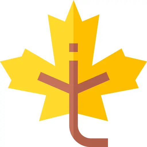 Maple leaf