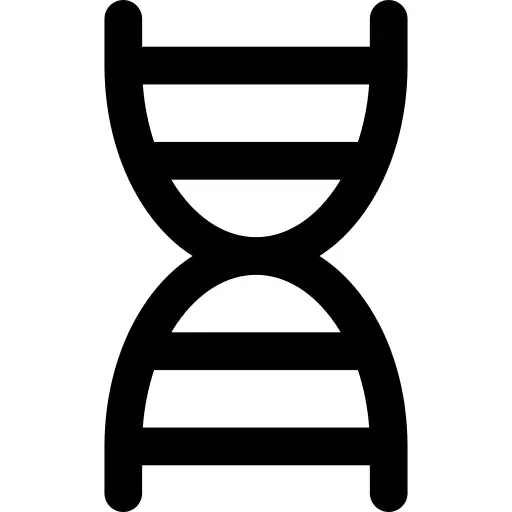 Dna