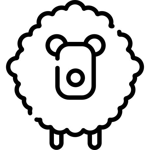 Sheep
