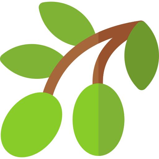 橄榄