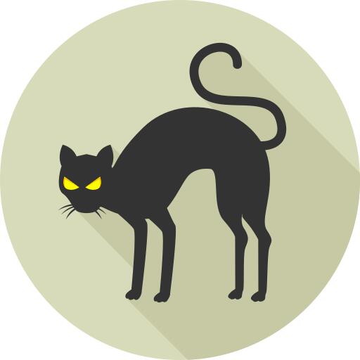 黑猫