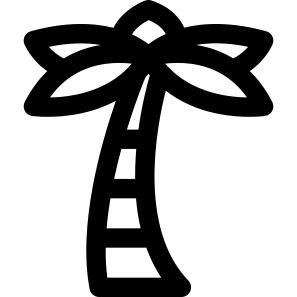Palm tree