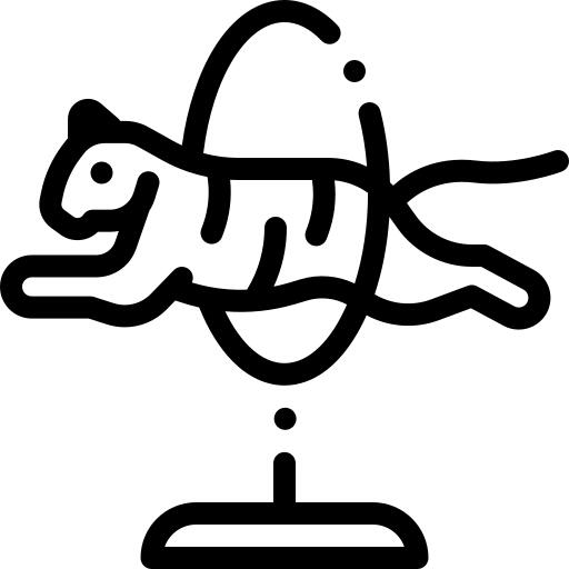 虎