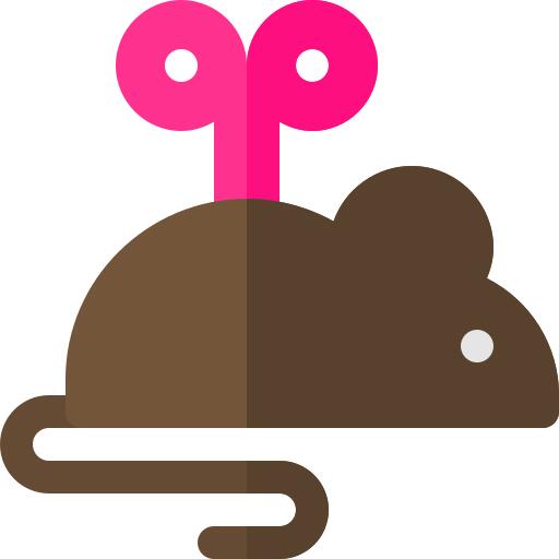 Mouse