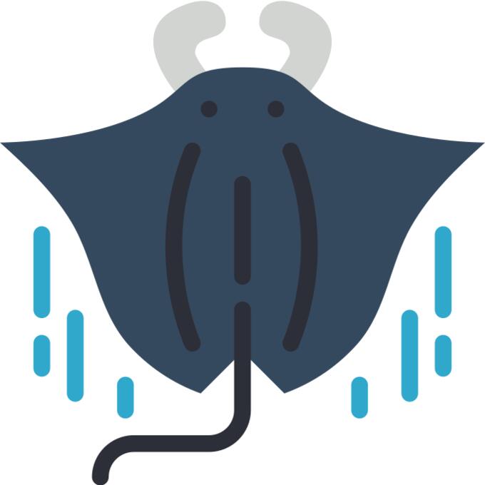 Manta ray