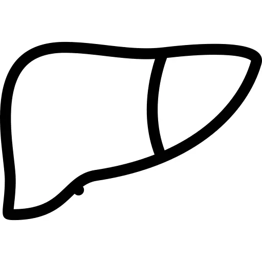 肝