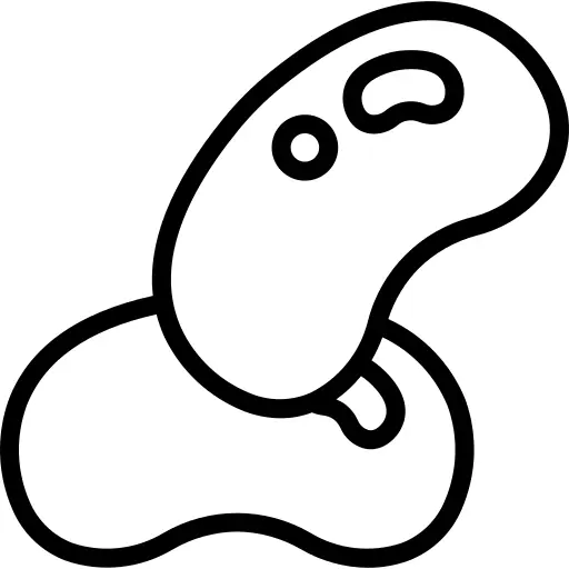 Beans