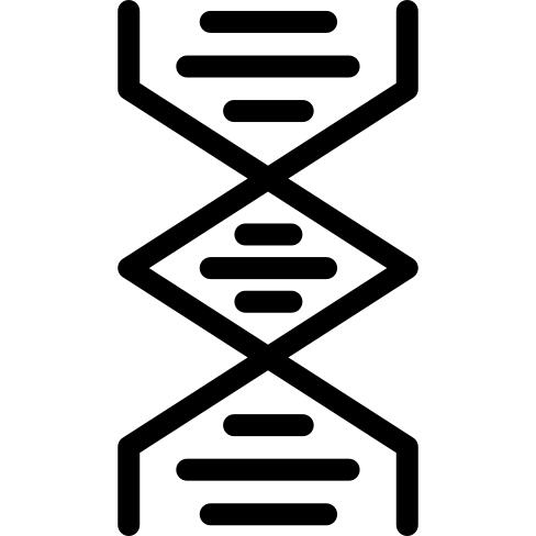 脱氧核糖核酸