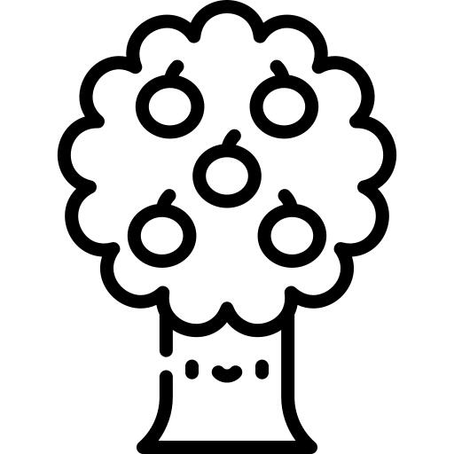 Apple tree