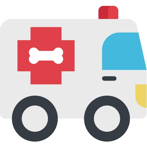 Ambulance
