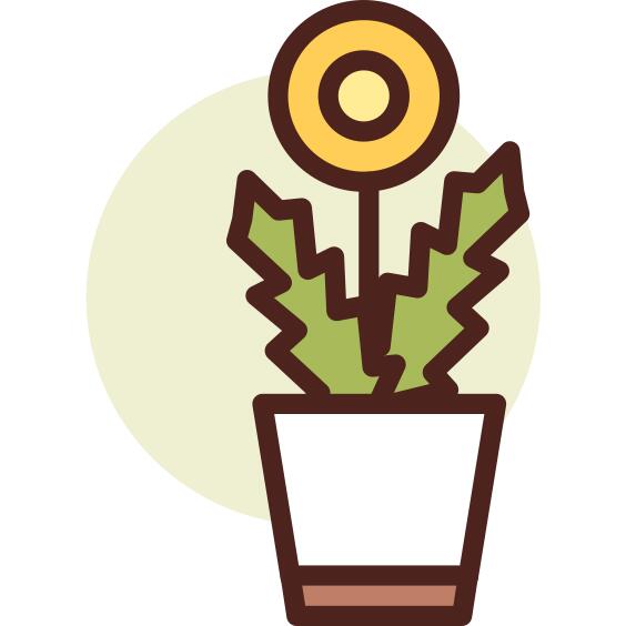 植物