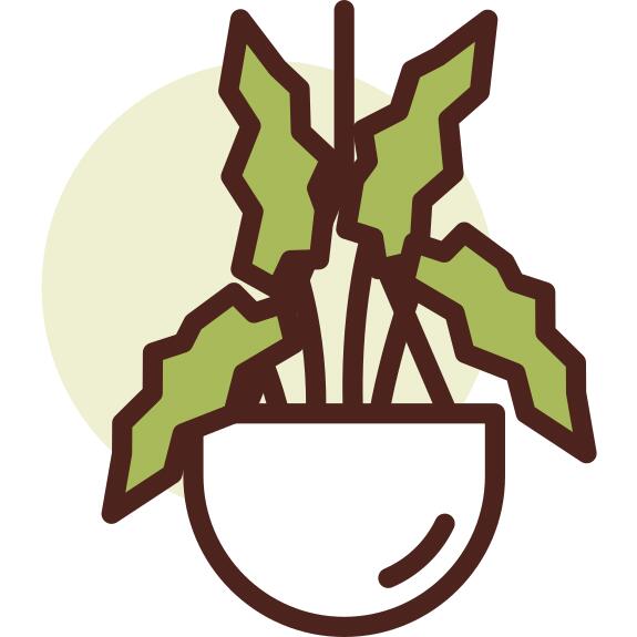 Botanic