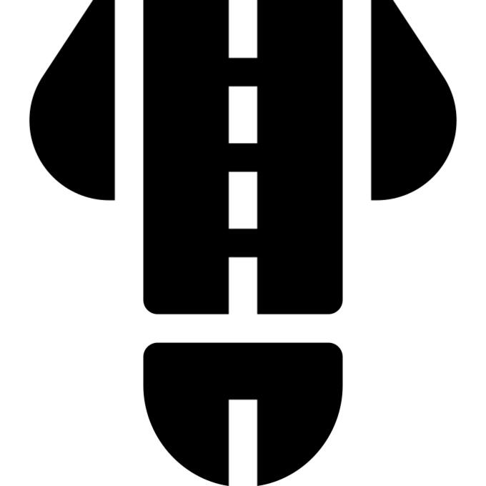 Penis