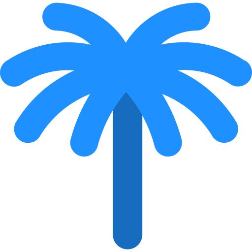 Palm