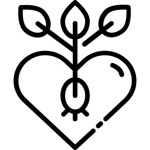 Seed