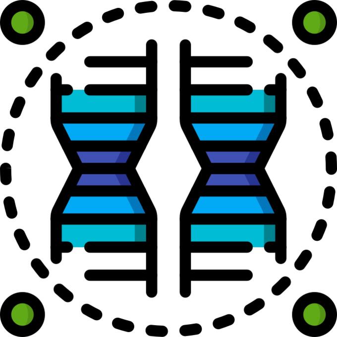 Dna