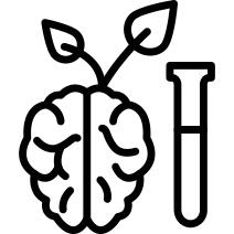 Brain