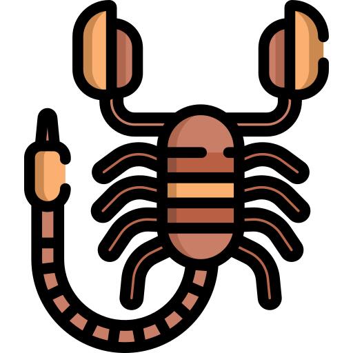 蝎
