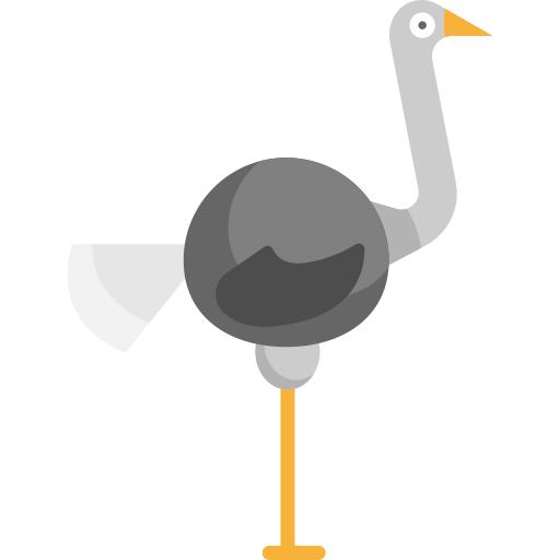 Ostrich