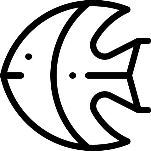 鱼