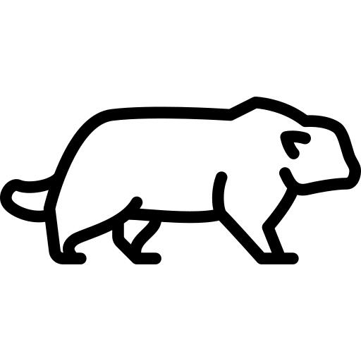 帕拉斯猫