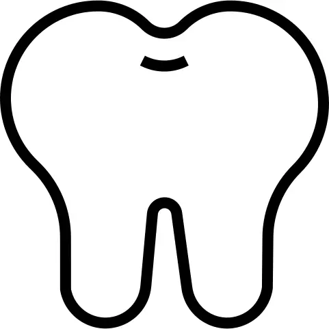 Teeth