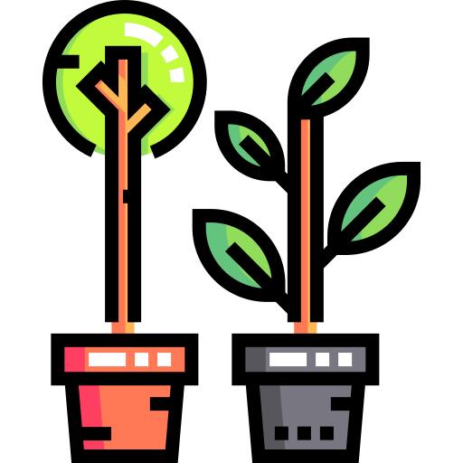 Plant