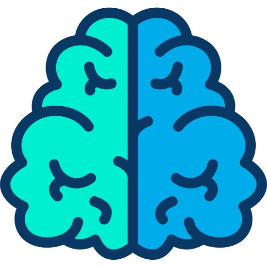 Brain