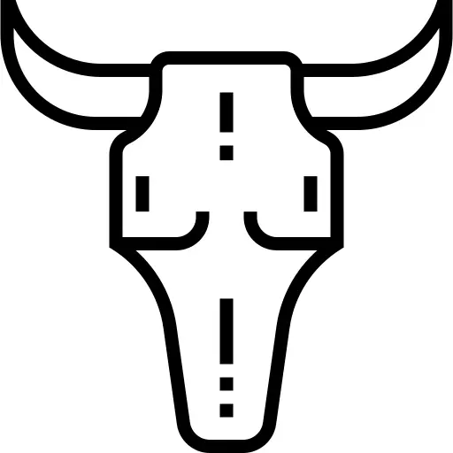 Bull skull