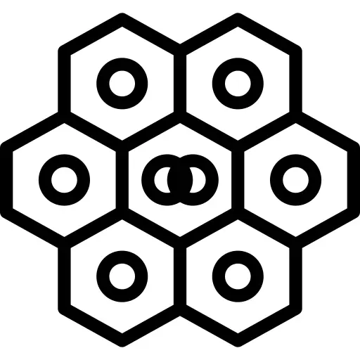 Cells