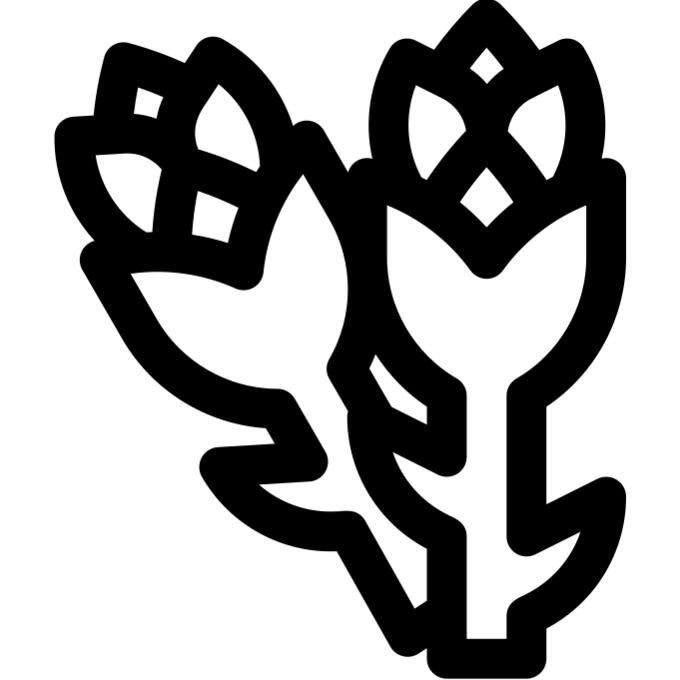 芦笋