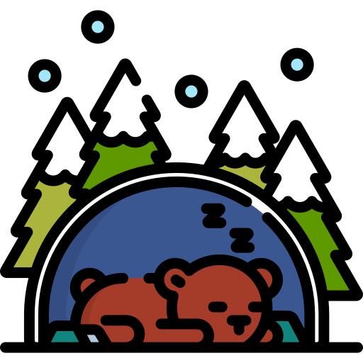 Hibernation