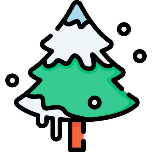 Fir