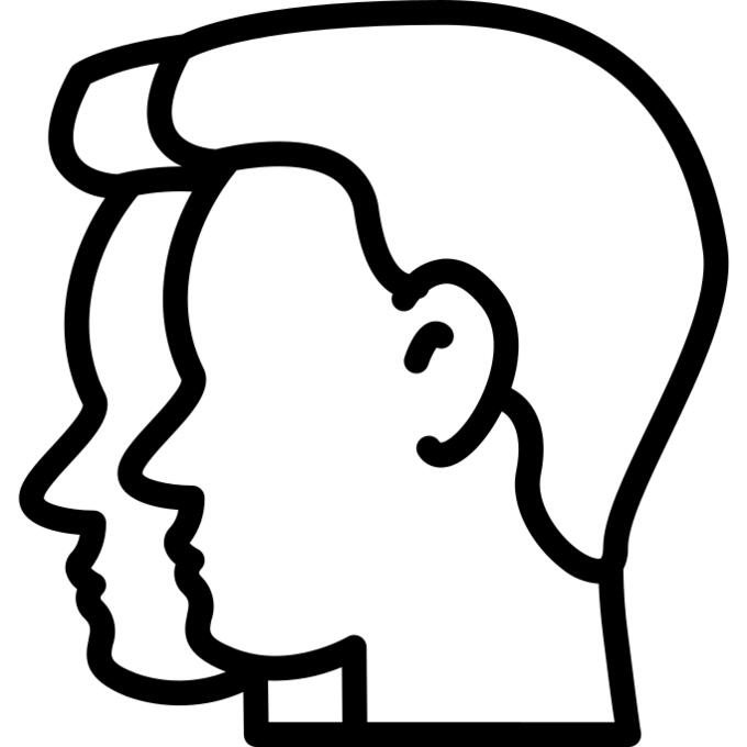 Gemini