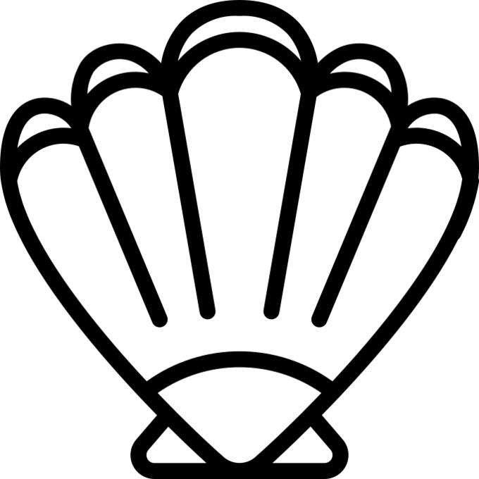 Clam