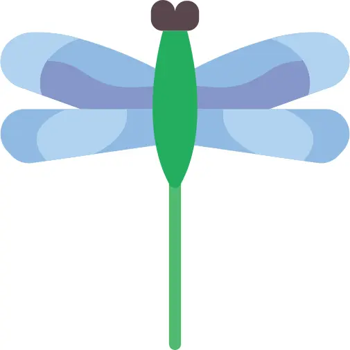 Dragon fly