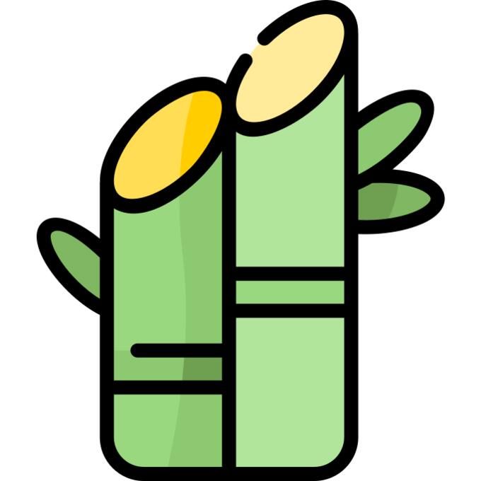 竹