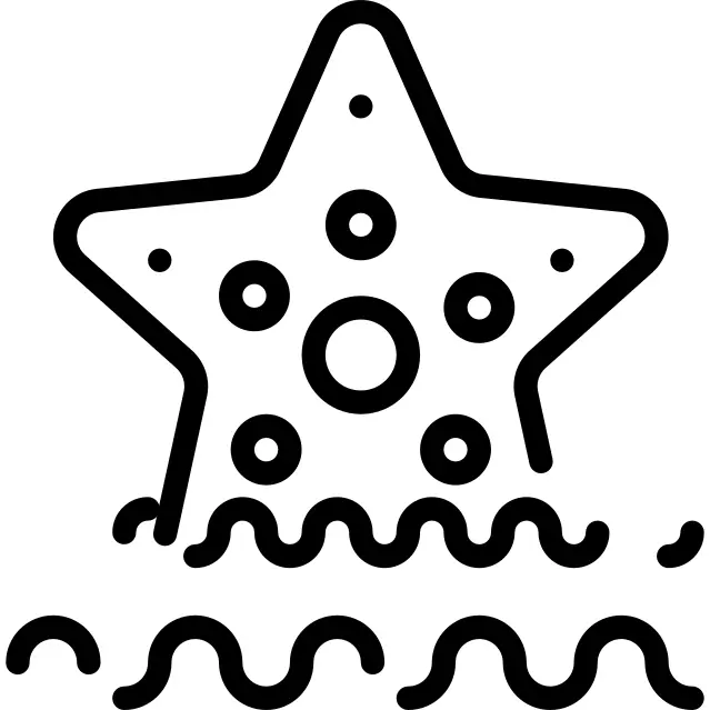 Starfish