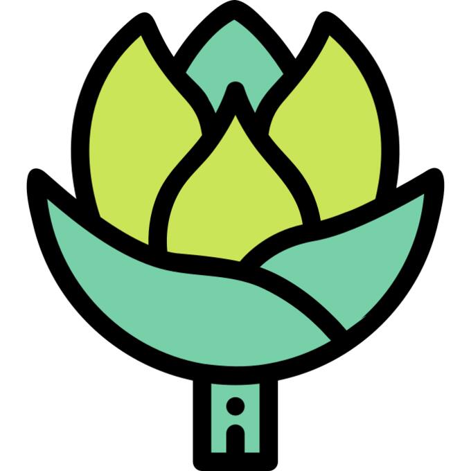 Artichoke